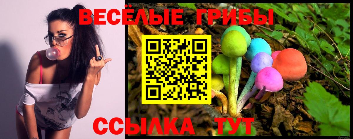 Псилоцибиновые грибы Psilocybine cubensis  что такое   Кинель  Вход с VPN  Галлюциногенные грибы Psilocybine cubensis 