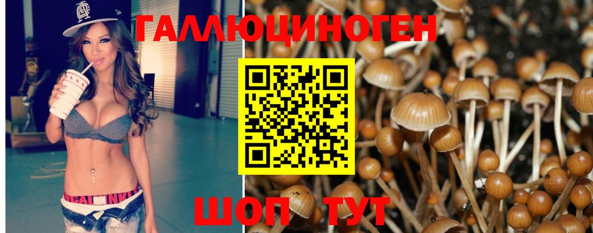 Галлюциногенные грибы Psilocybine cubensis Кинель